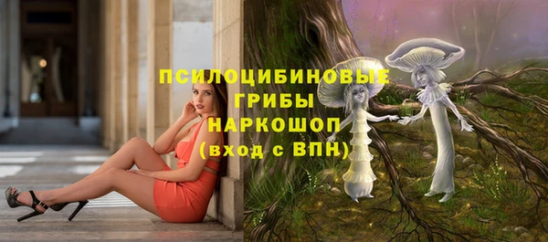 дживик Армянск