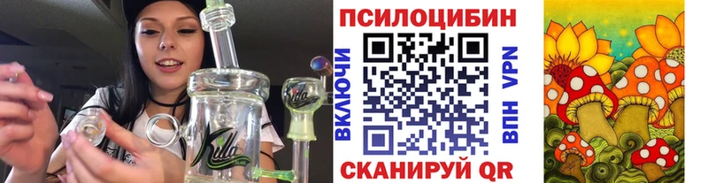 Галлюциногенные грибы Cubensis  цены   Саки 